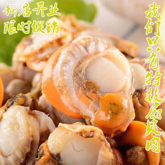 青岛冷冻扇贝肉 特级扇贝肉活鲜速冻海鲜现剥无沙扇贝肉