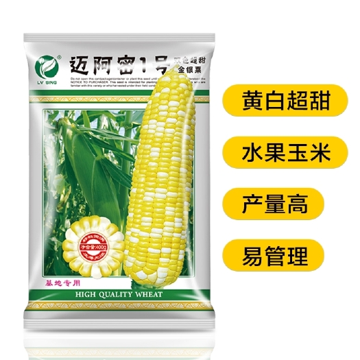 广州 水果甜玉米种子种孑种粒迈阿密1号黄白双色农家大田高产玉米种子