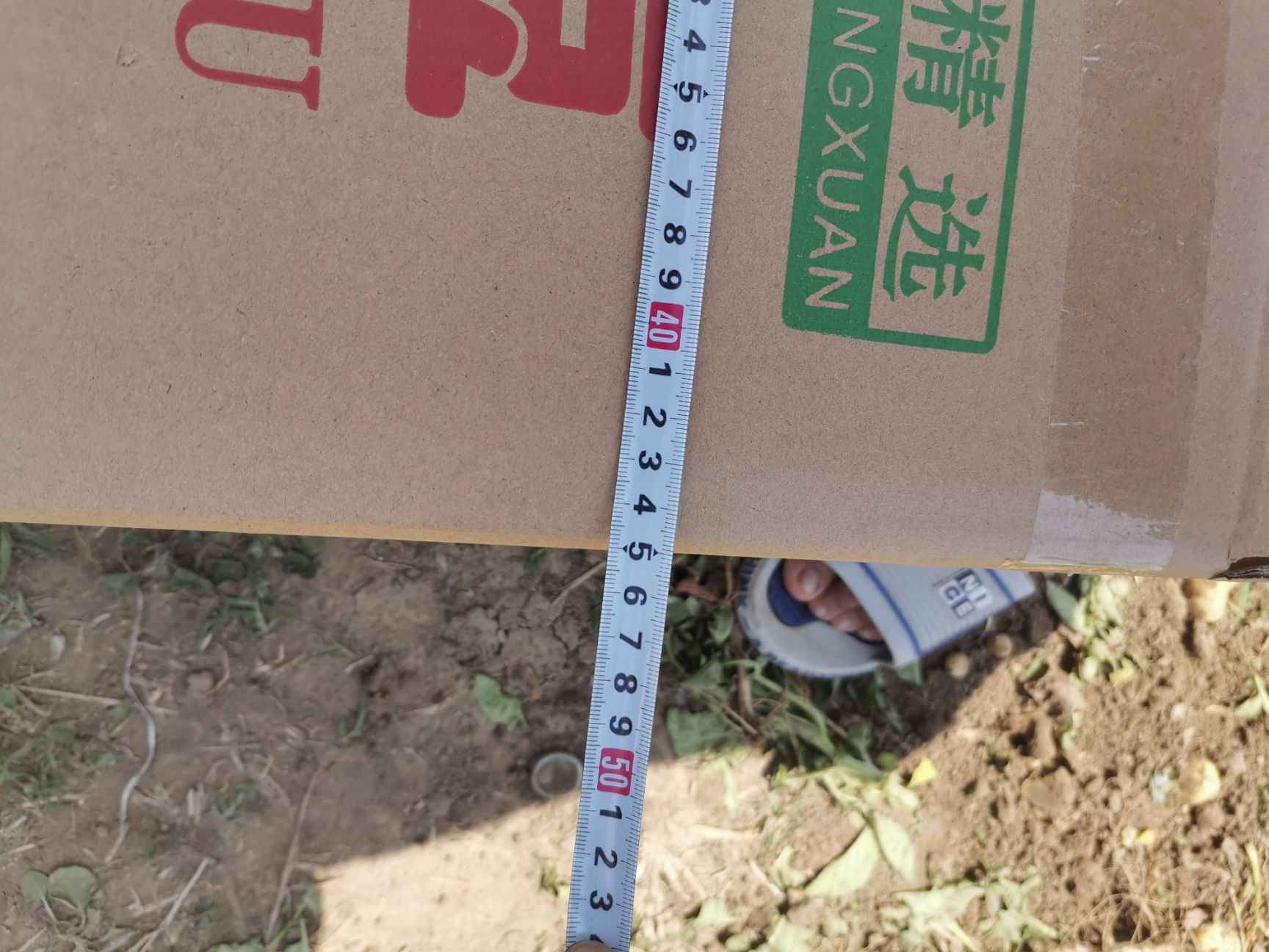  厂家直销各种蔬菜水果专用纸箱，各种工业用箱。加工定做各种纸箱