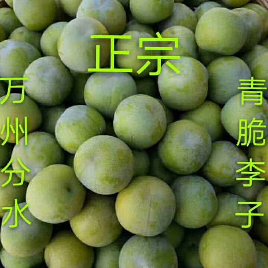 粉黛青脆李，个头大香甜清脆，正宗万州区分水镇青脆李