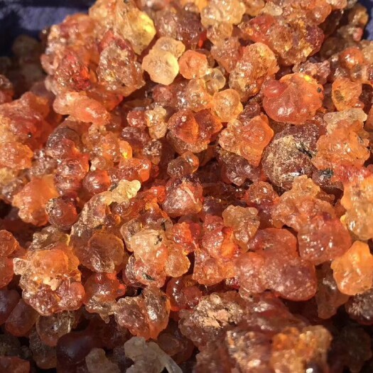 石屏县 精品黄桃胶，不规则桃胶，没有形成圆胶，干净漂亮