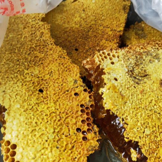 丘北县土蜂蜜 大山里的土蜜蜂