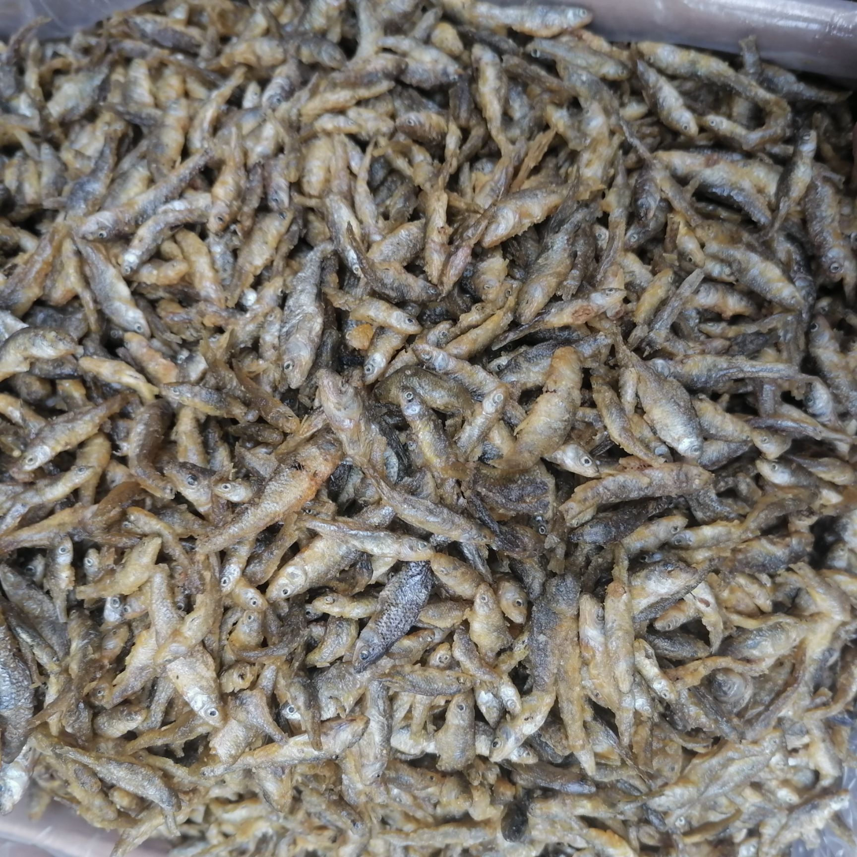麦穗鱼干  油炸麦穗鱼弄子鱼干货批发