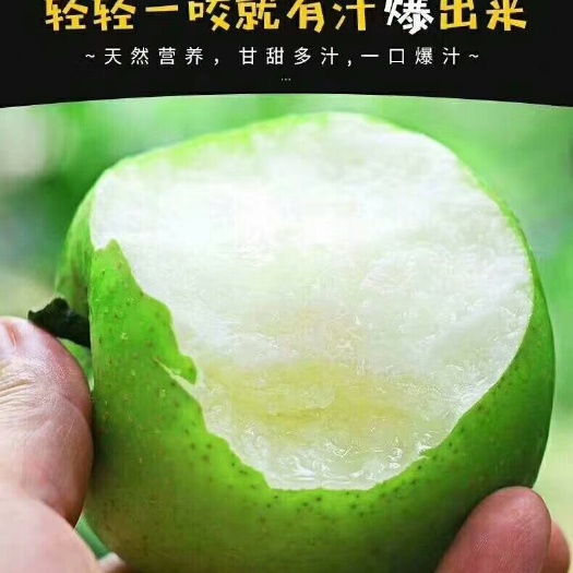 砀山县 百年老梨树种出好味道，酥脆甘甜，入口即化，果大核小，皮薄多汁