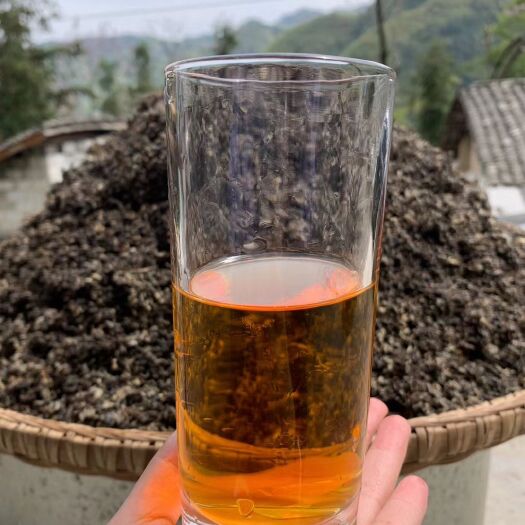 巫溪 重庆非遗【老鹰茶制作技艺】传承人做的百年古树老鹰茶 你喜欢吗