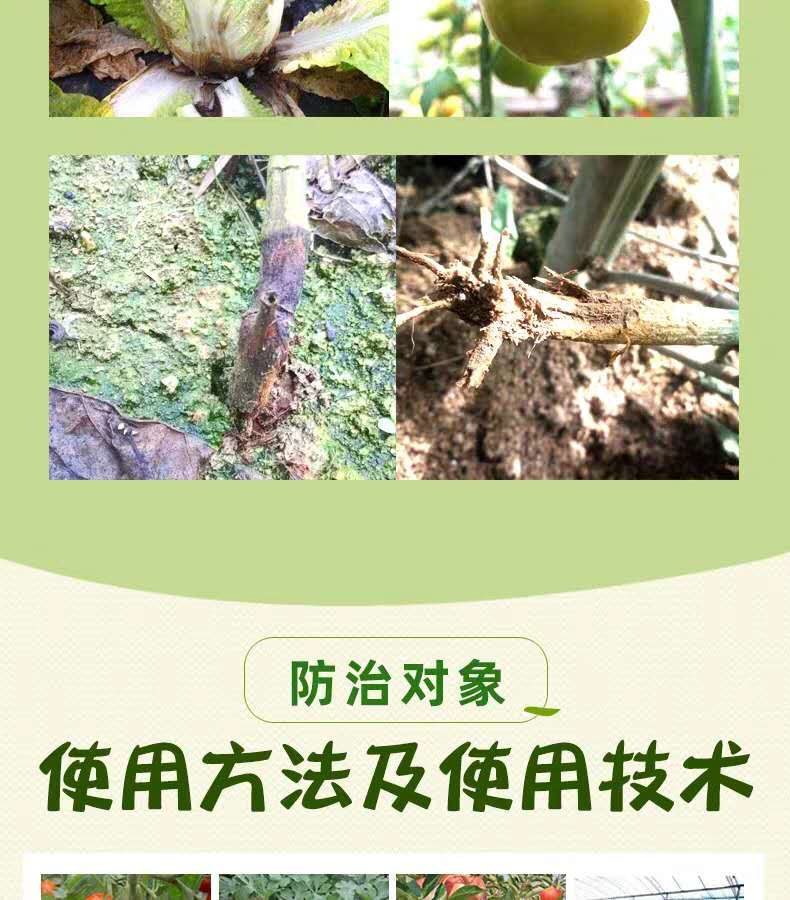 50%氯溴异氰尿酸杀菌剂细菌真菌病毒霜霉病软腐病溃疡土壤消毒