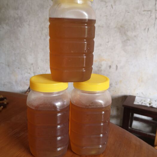 赣州 大山上天然正宗的土蜂蜜正品