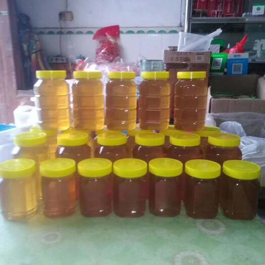 封开县百花蜜 大量乌柏蜜，寻找买家