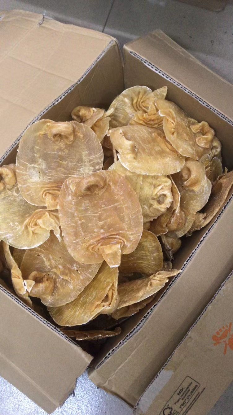 赤嘴鱼胶，24小时内发货，包邮到家。