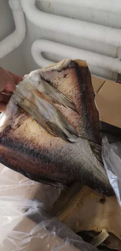 南陵县雄鱼 花鲢 美味