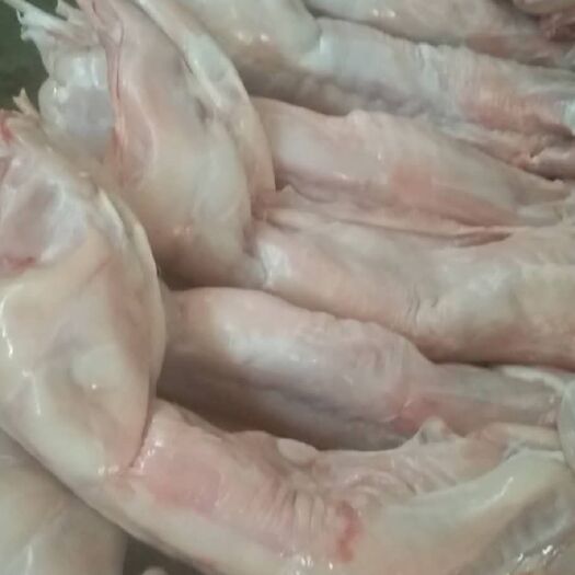 临沂兔肉类 生鲜兔白条，健康卫生，您的