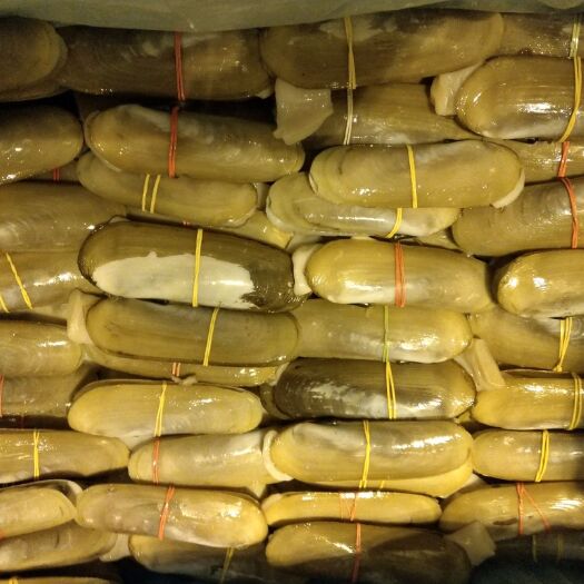 广州海蛏 富贵蚌,单脚蛏,酒店烧烤店材料