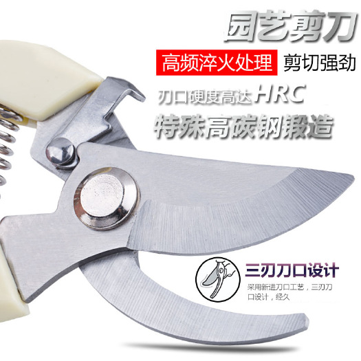 寿光市摘果剪  园林花剪园艺修剪树枝剪刀家用摘果修花植物果树剪枝剪刀省力剪子