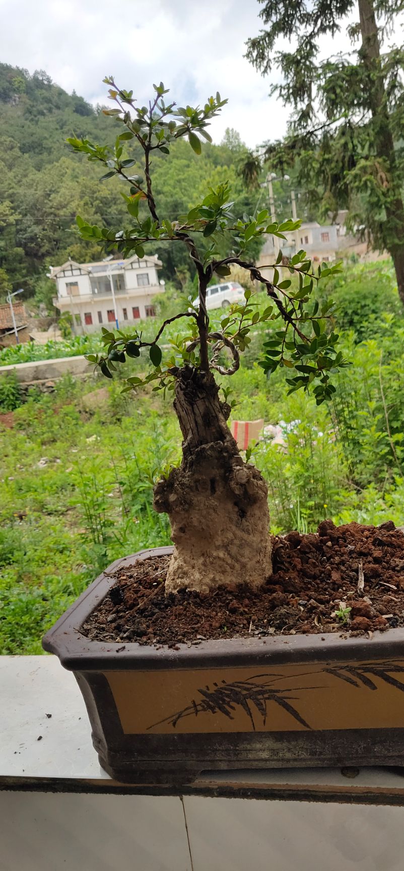 贵州毕节黔西县