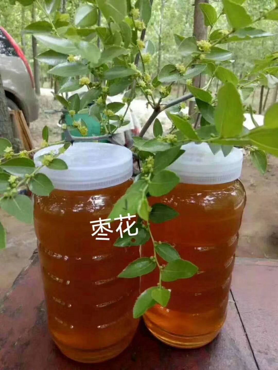 槐花蜜 色质美观，食用方便，营养健康，大人小孩都可以食用。