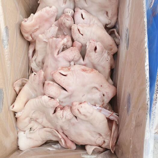 阳信县羊头 羊头肉 熟羊头肉