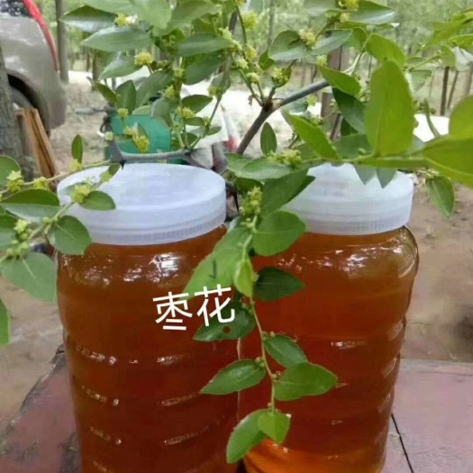 汾阳市营养液 枣花蜜产地吕梁柳林，货真价实，没有什么添加剂。