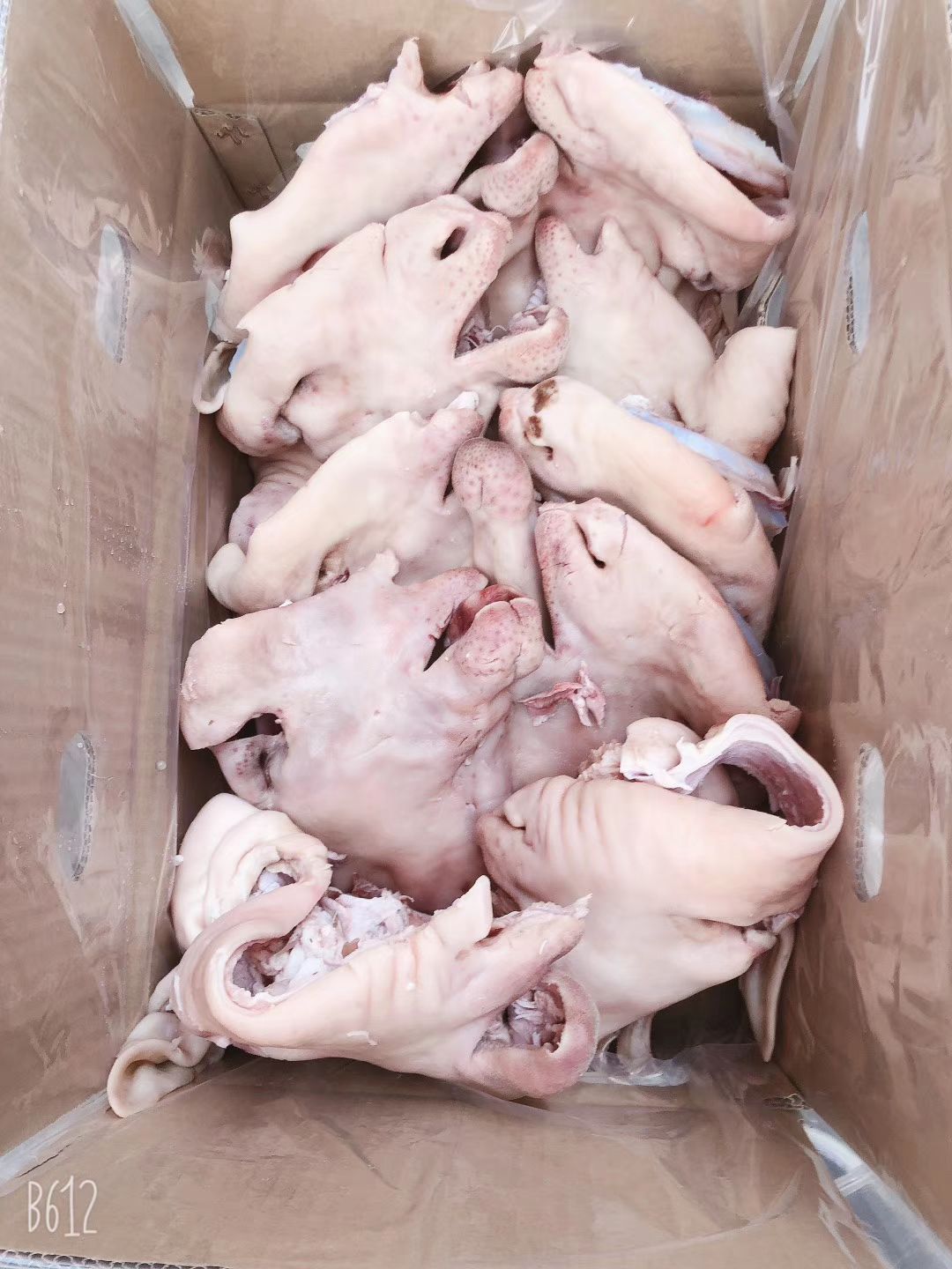 羊头 羊头肉 熟羊头肉