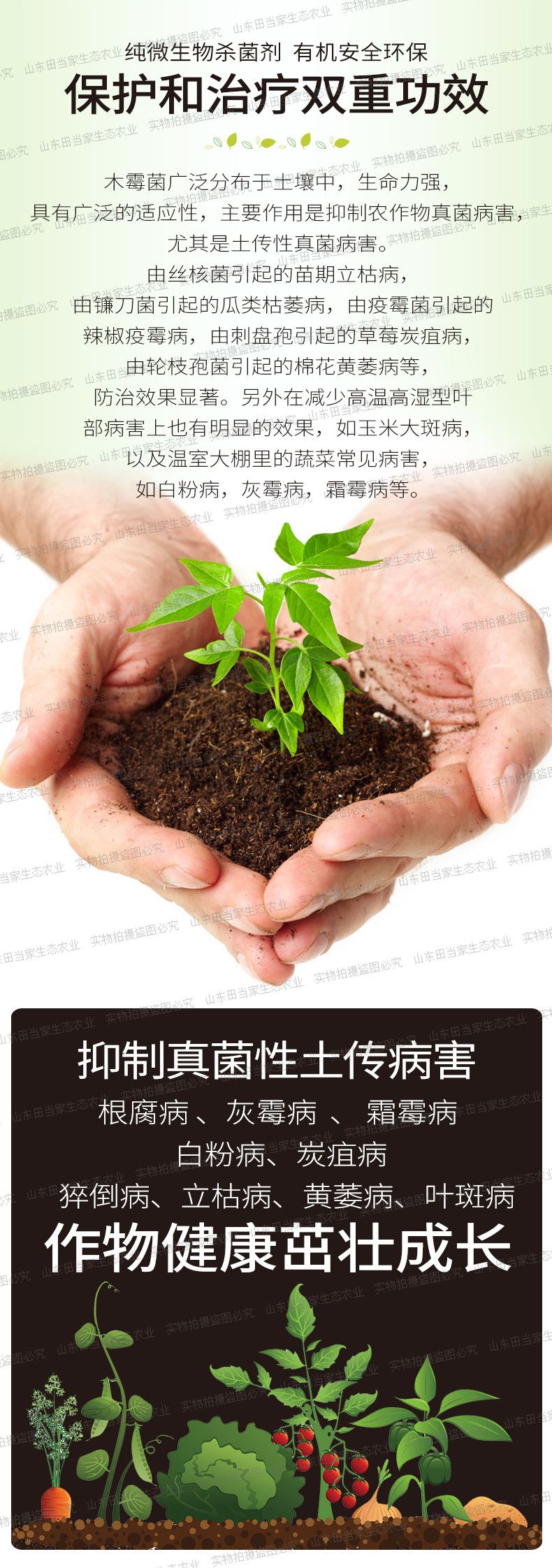 微生物有机肥  哈茨木霉菌以菌克菌抗逆抗病活化土壤生根壮苗