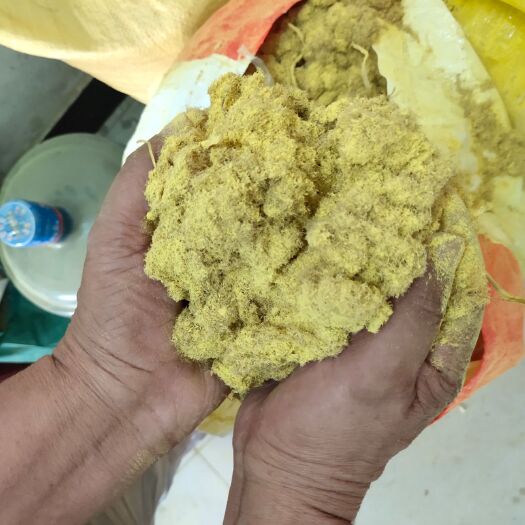 钟祥市产地一手优质蒲黄 价格好  质量好  现货