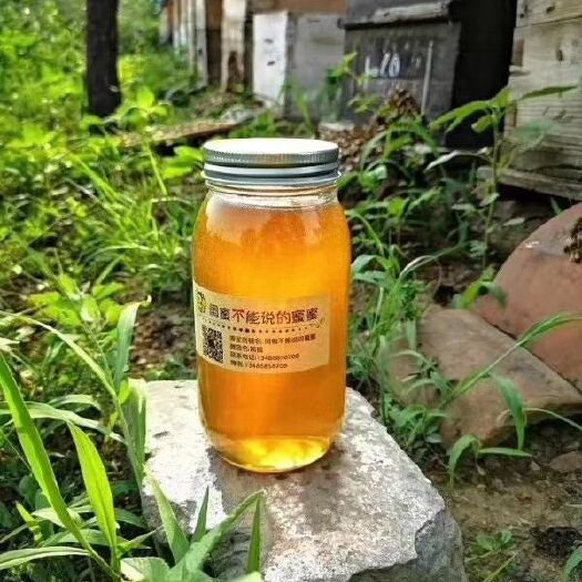 北京 自家养的蜜蜂，今年的新荆条蜜