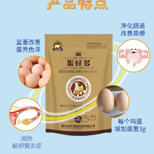 睢县蛋白质饲料 蛋好多促消化强体质高产蛋多维抗菌蛋白酶