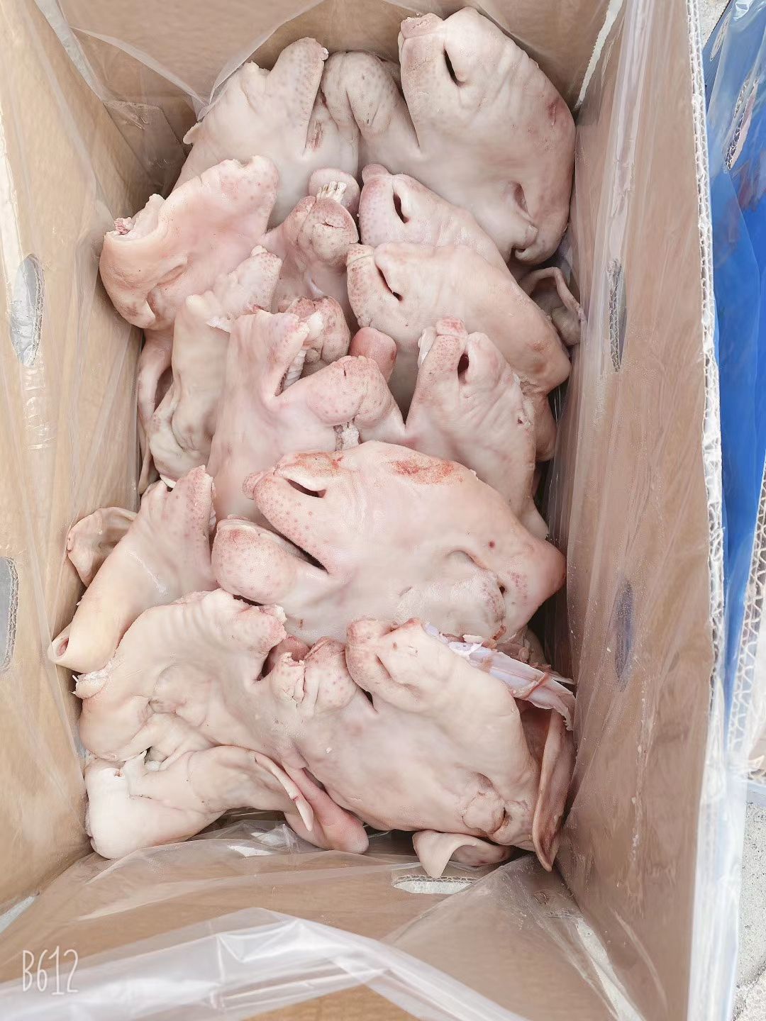 羊头 羊头肉 熟羊头肉