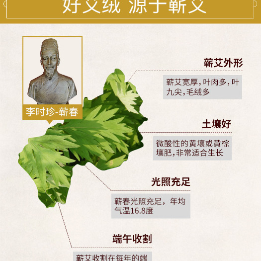 蕲春县 艾条