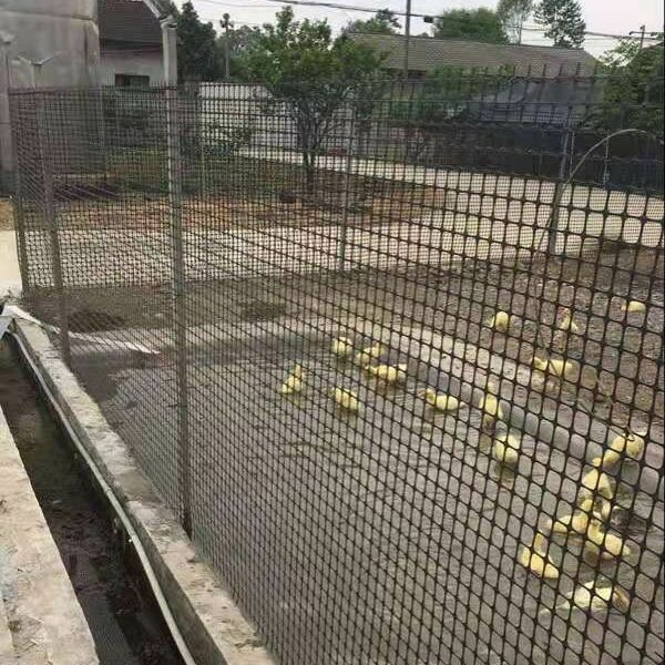 塑料围栏网  塑料养殖网鸡鸭鹅漏粪网围栏网防护网大棚防雨水网