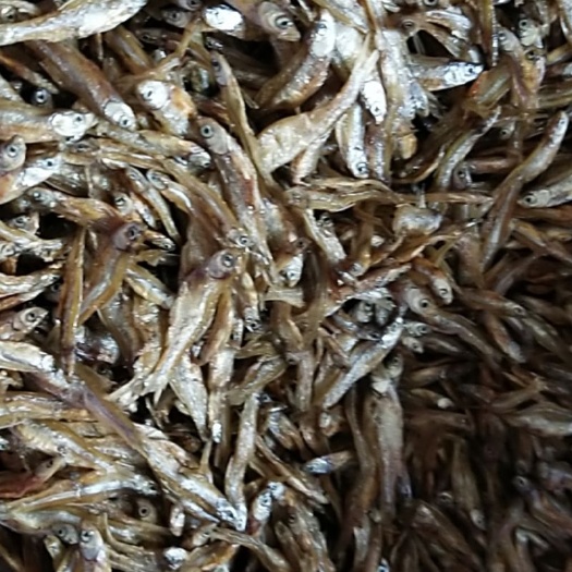 廉江市刁子鱼干  油炸小鱼仔