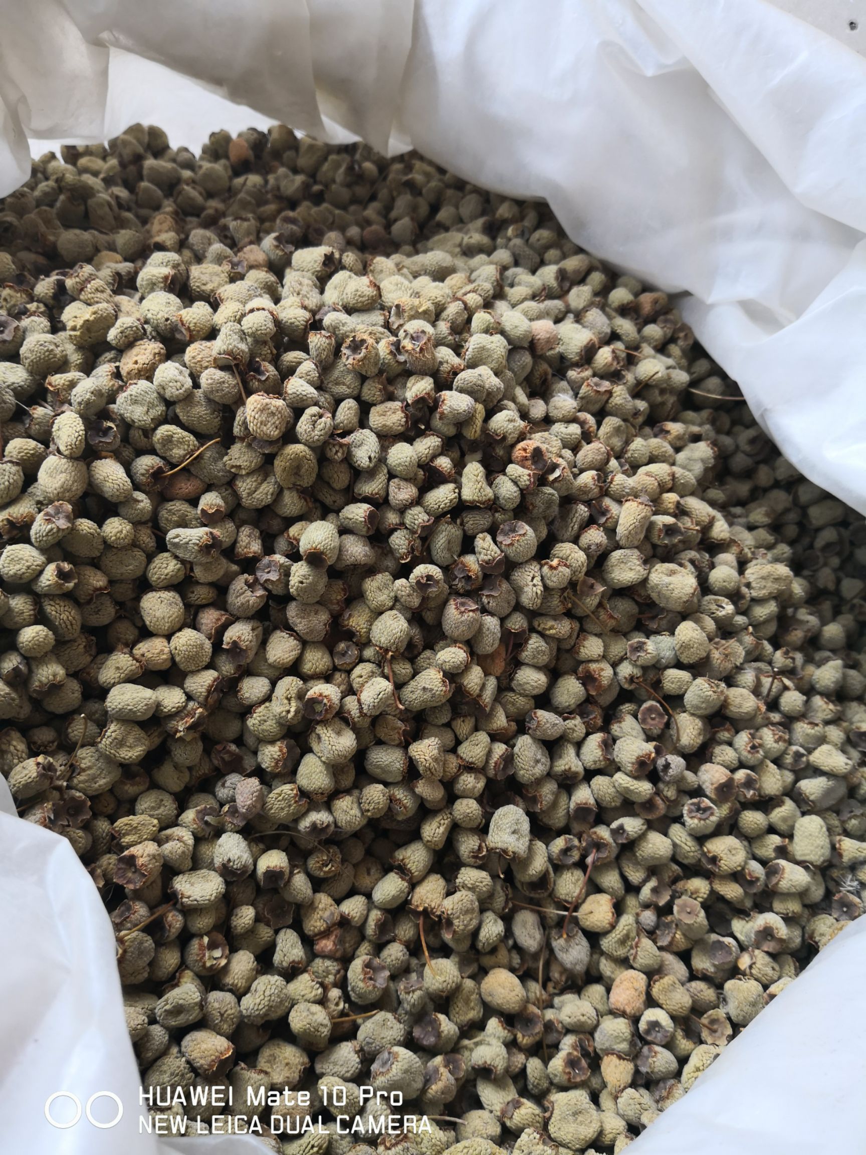 浙江覆盆子  籽粒饱满 选货2斤包邮 量大优惠