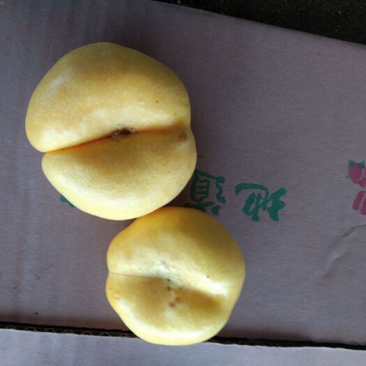 蒙阴县油蟠桃  口感细腻，风味独特