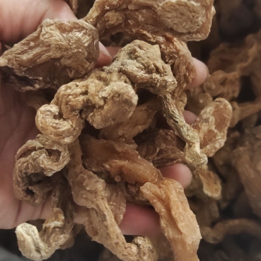 东源县姜形黄精 40