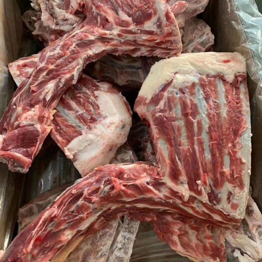 献县羊排骨 大羊方肩骨排大肉多