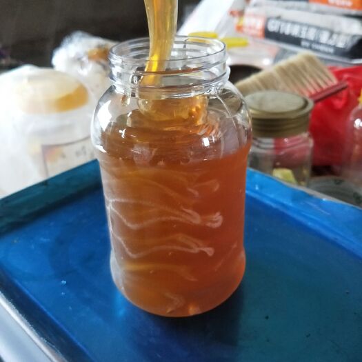 广州 高山百花蜂蜜