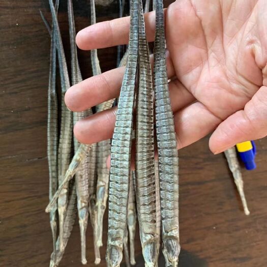 阳西县干鱼 六角龙，8元一条，50条起包邮；散结消肿，；遗