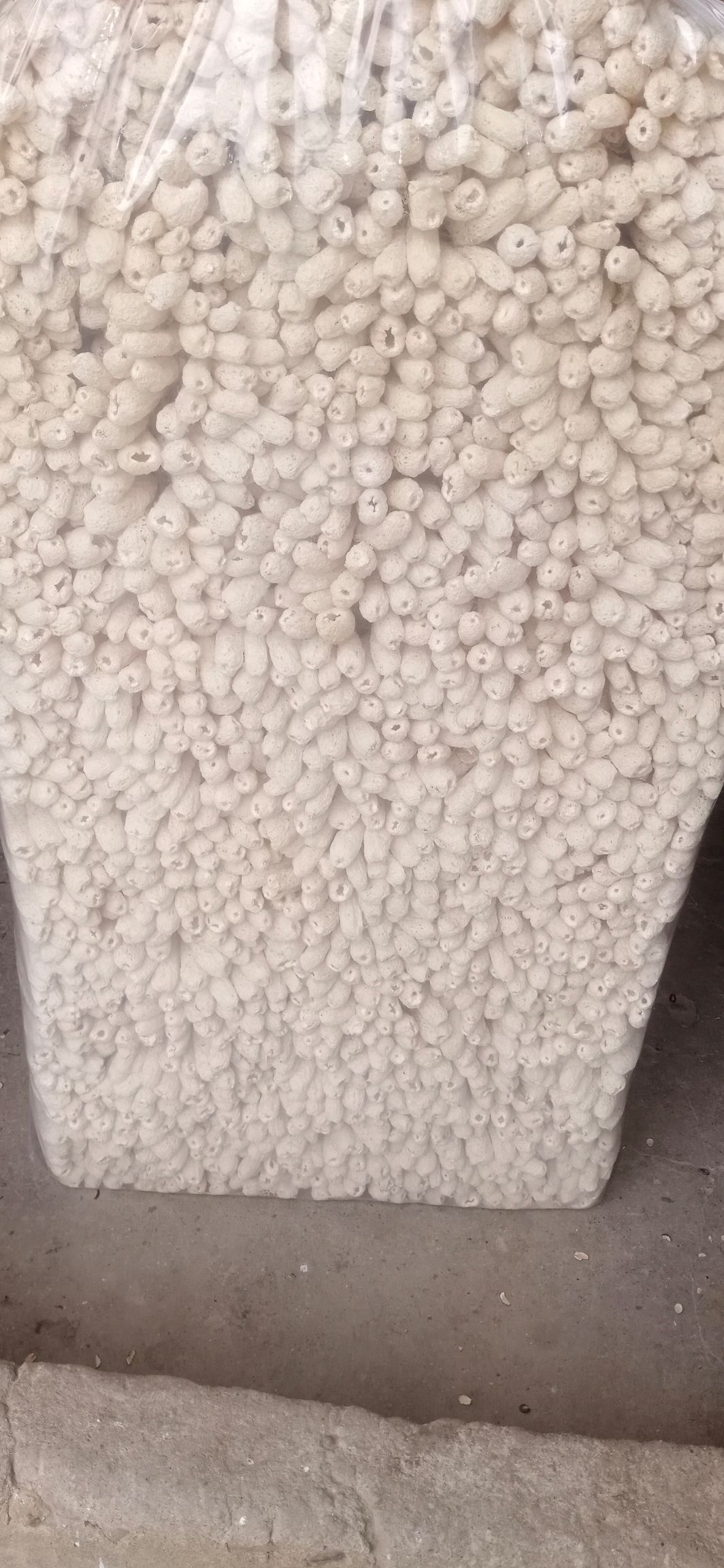  无熏硫 长裙竹荪