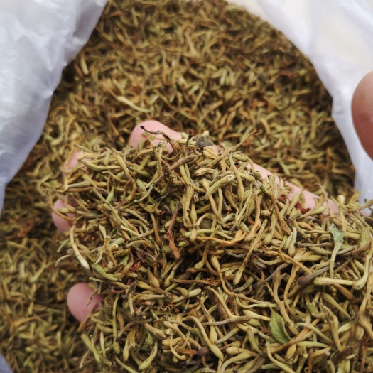 安龙县山银花 金银花