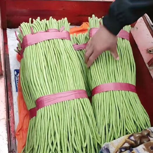邯郸 精品长豆角，量大质优