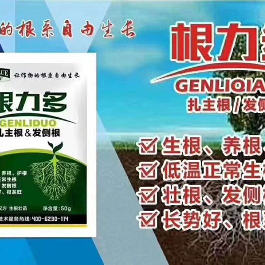 莘县瓜茄果专用 根力多