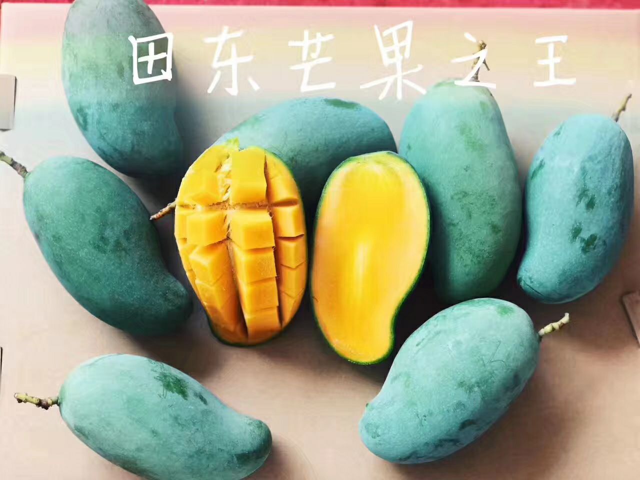 桂七是芒果中的爱马仕，应季新鲜出炉，需要的联系。