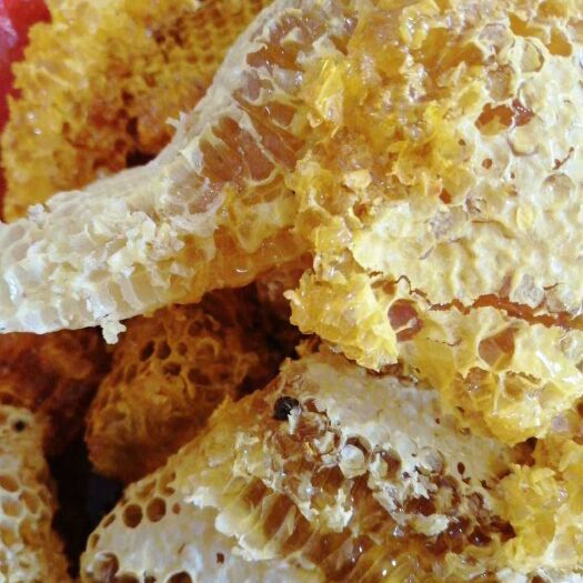 孟连县野生蜂蜜  土蜂蜜