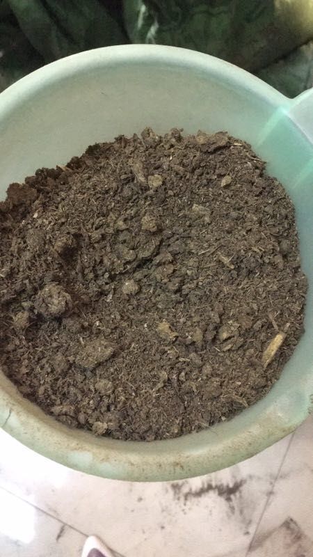  农家肥 羊粪有机肥 发酵纯羊粪 羊粪 大量