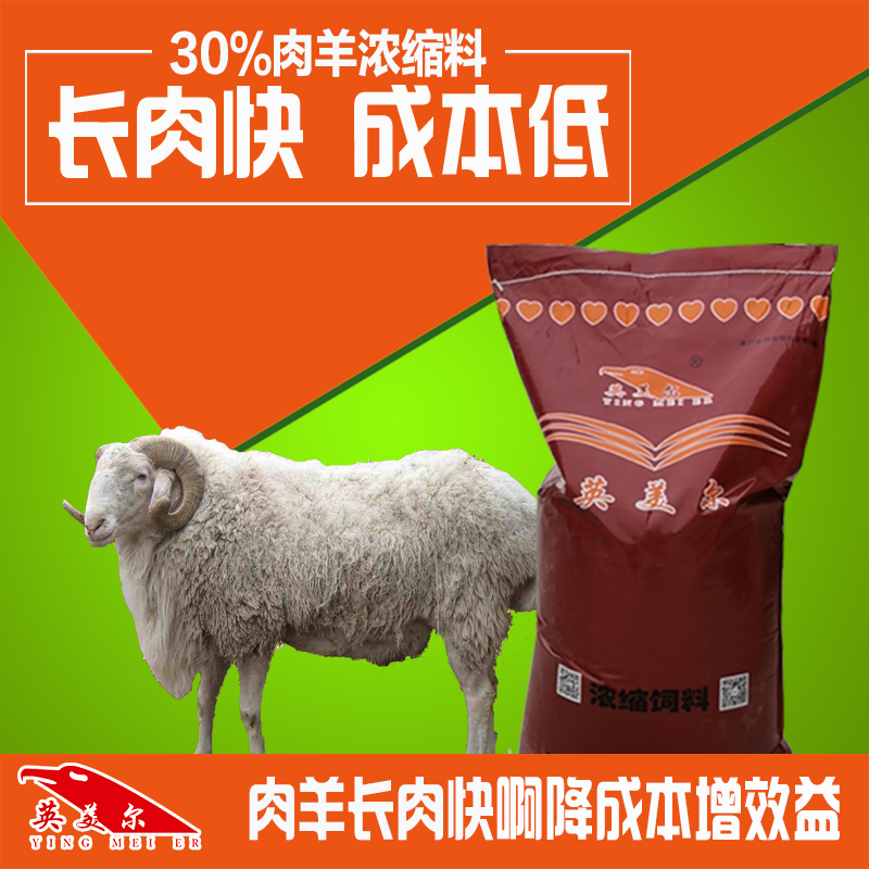 浓缩料 牛羊饲料  成都英美尔繁殖羊长架子生长育肥肉羊催肥促生长专用浓缩饲料配方