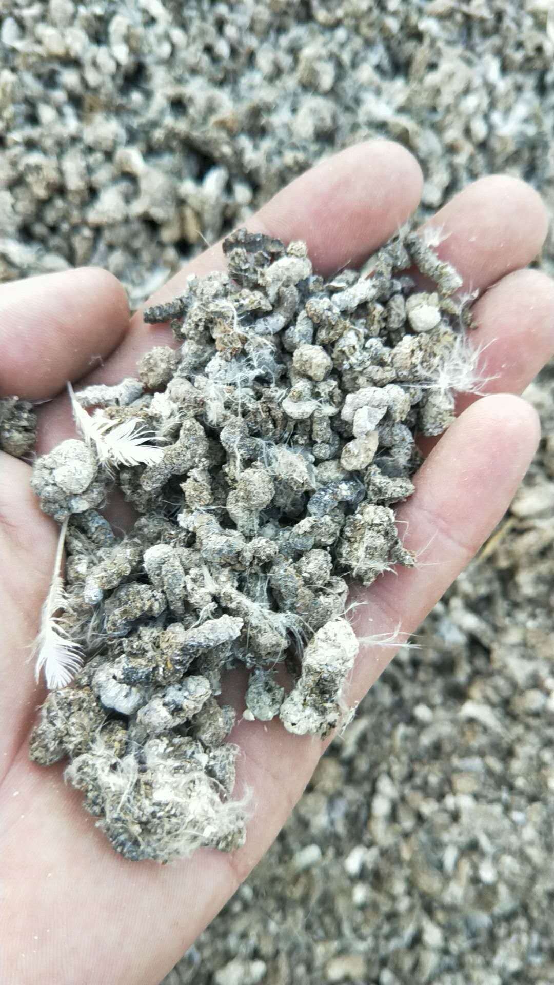  农家肥 羊粪有机肥 发酵纯羊粪 羊粪 大量