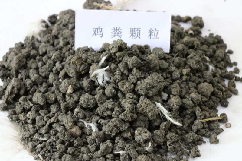  农家肥 羊粪有机肥 发酵纯羊粪 羊粪 大量