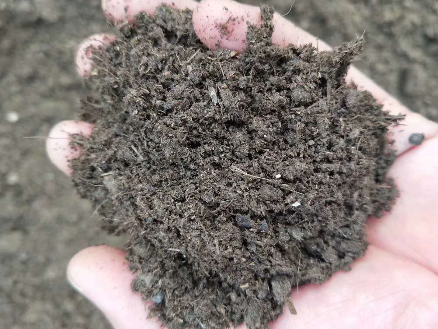  农家肥 羊粪有机肥 发酵纯羊粪 羊粪 大量