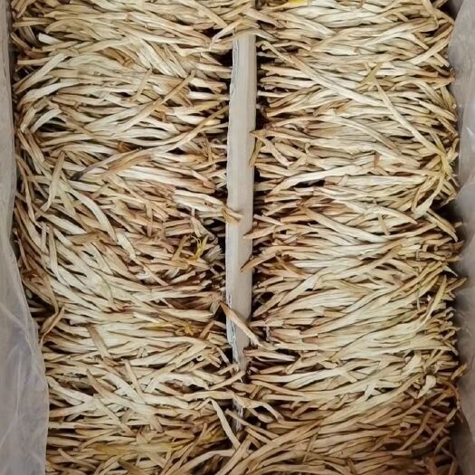 大荔县黄花菜  大荔手工托盘直条菜，