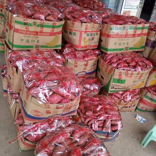苏八，西瓜红，303红薯