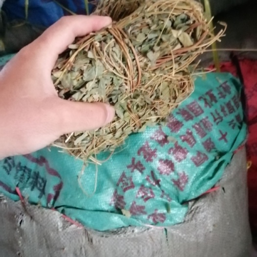 广州鸡骨草小扎